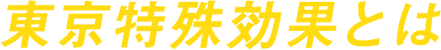 東京特殊効果とは